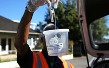 Ministry for Primary Industries contractor holding a fruit fly trap for fruit tree owners in Grey Lynn, Auckland.