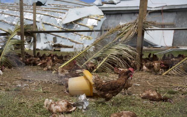 Food security remains a concern in Vanuatu after Cyclone Pam