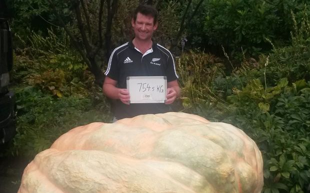 Morrinsville dairy farmer Tim Harris with his record-breaking pumpkin.