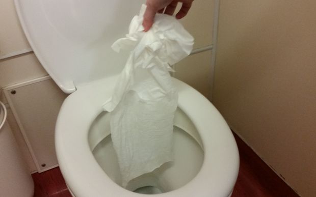 Toilet wet wipes