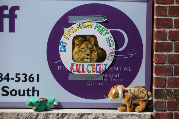 Protesters place stuffed animals outside Dr Walter Palmer's dental clinic in Minnesota.