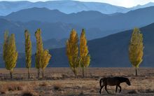 A mountainous, landlocked country of roughly six million people, Kyrgyzstan could be home to refugees who had originally sought to settle in Australia.