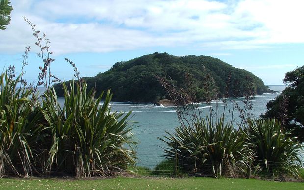 The Goat Island or Leigh marine reserve is New Zealand's oldest fully protected marine area.