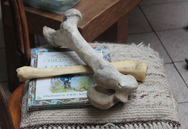 An Image of two thigh bones resting on top of a children's book.