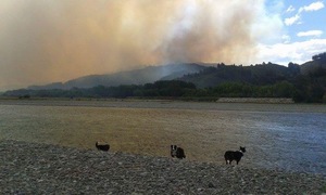 A large forest fire burning in the Waikakaho Valley near Blenheim on 25 November 2015. 