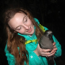 Jessica Russell holding a Providence Petrel on Lord Howe Island