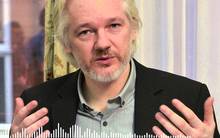Julian Assange still in 'arbitrary detention': RNZ Checkpoint