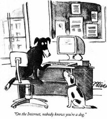 Image from The New Yorker cartoon by Peter Steiner, 1993.