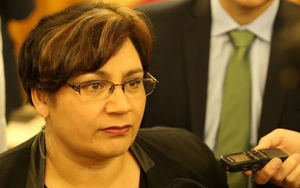 Greens co-leader Metiria Turei