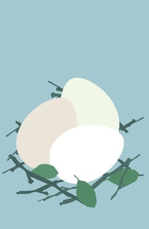 illustration of birds nest