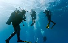 Divers (stock image)