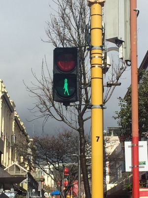 Carmen crossing lights