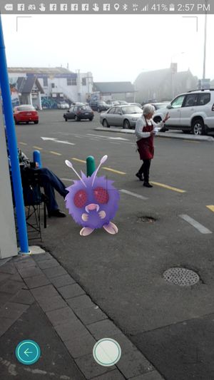 A Pokemon on the loose in New Brighton.