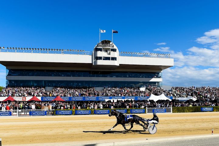 Lazarus on his way to victory in the NZ Trotting Cup.