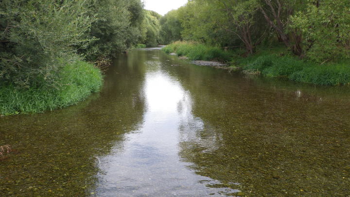 Selwyn River 