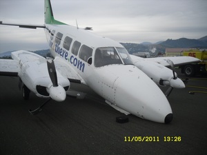 The plane in the emergency landing at Nelson airport.  
