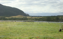 One of the Crafar farms that was up for sale in 2010.