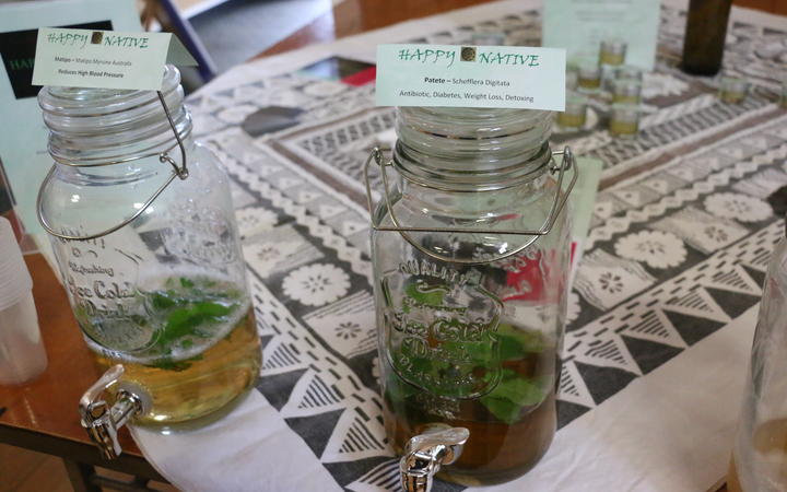 Rongoā Māori (Tonics made from native plants)
