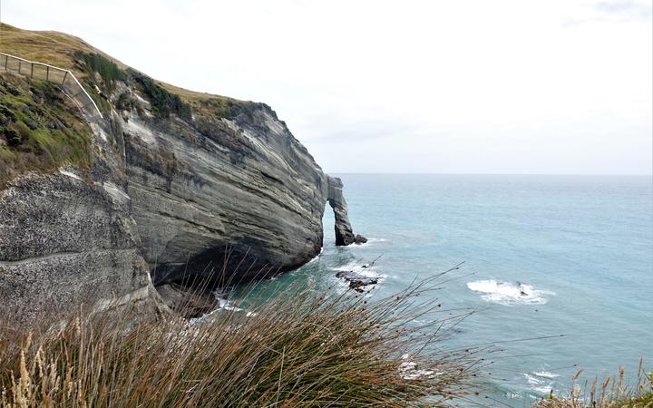 The sea cliffs below the sanctuary and part of the predator fence built into the cliff.