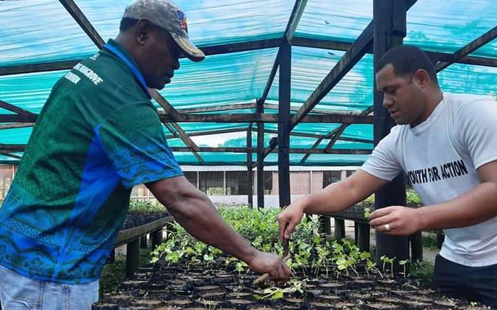Fijians have the opportunity to establish their own nurseries and raise fruit trees.
