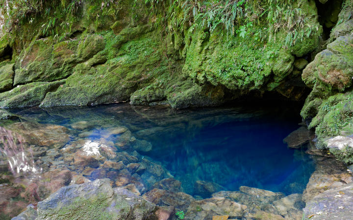 The blue pool where the Riuwaka River emerges from Takaka Hill.