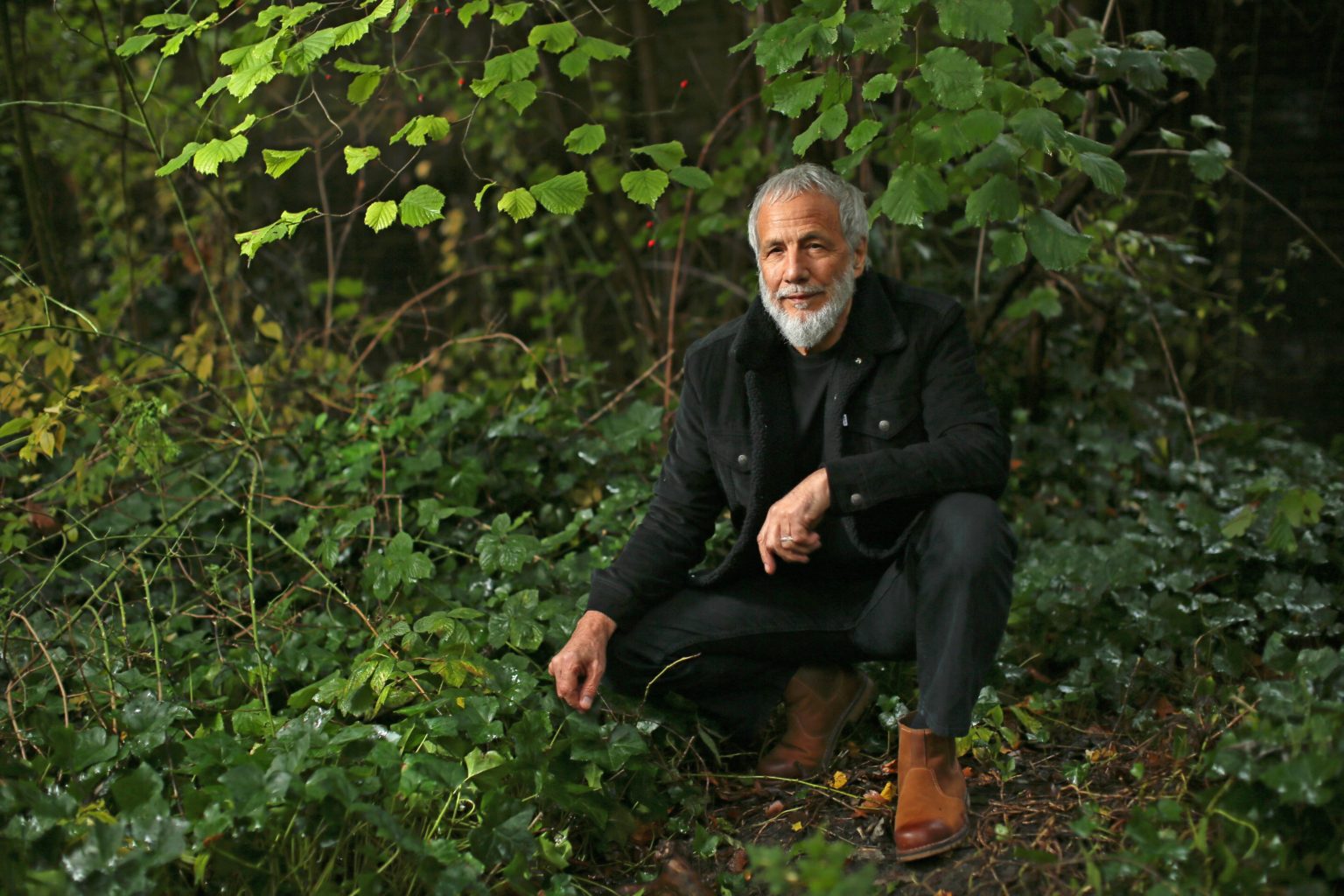 Yusuf Islam crouches in a forest