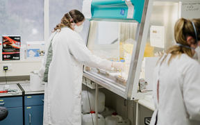 Researchers test waste water samples from managed isolation facilities.