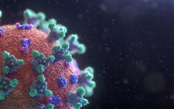 visualisation of the Covid-19 virus