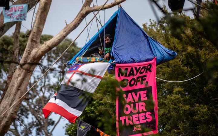 Protesters turn out before dawn to save 100-year-old native trees | RNZ News