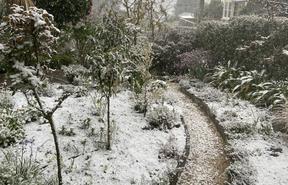 Snow in a Dunedin garden Tuesday 29 September 2020