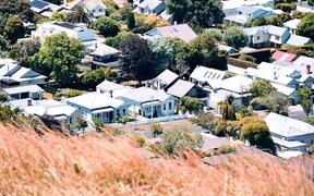 Houses as seen from Mount Eden summit in Auckland, New Zealand.