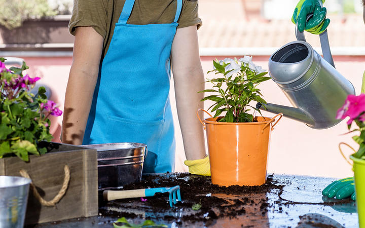 Teenagers wearing a gardener apron while gardening at terrace in a sunny day