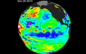 This NAS enhanced satellite illustration from December 26, 2010 shows La Niña by the large (blue and purple) water stretching from the eastern to the central Pacific Ocean, reflecting lower than normal sea surface heights. 