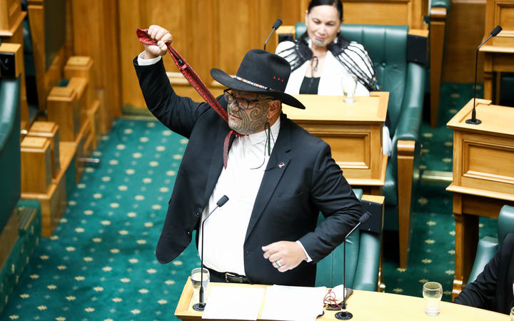 Te Paati Māori MP Rawiri Waititi gives his maiden speech at Parliament