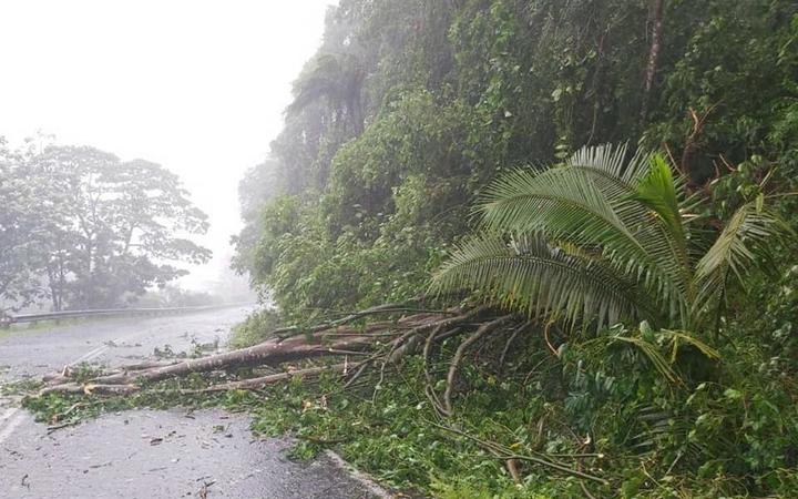 Fallen trees block Transinsular Road, near Lomaloma Village as Cyclone Yasa makes landfall in Fiji.