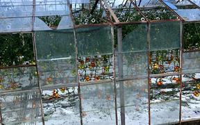 A twister moving through this glasshouse in Motueka forced those on site to shelter in a shipping container.