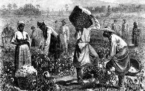 A coton plantation
1875 United States
