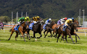 Force of Will (R ridden by Craig Grylls wins the  New Zealand Blood Stock Desert Gold Stakes race during the Wellington Cup horse racing at Trentham Racecourse in Wellington on 31 January 2021. 