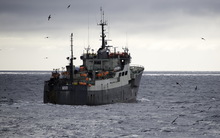 The 'Thunder', which Sea Shepherd claims is illegally fishing in the Southern Ocean. 