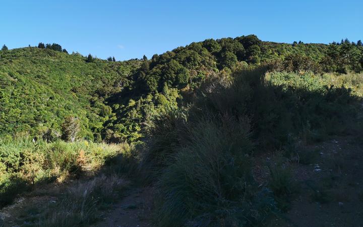 Ngāti Kahukuraawhitia wants to purchase 182 hectares by the Waiohine river in the Wairarapapa to build a papakāinga for their descendants to live on.