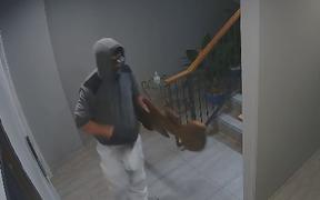 CCTV footage of the taonga thief in Auckland