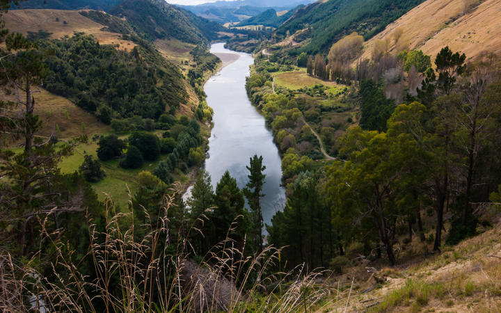 Whanganui River, North Island, New Zealand