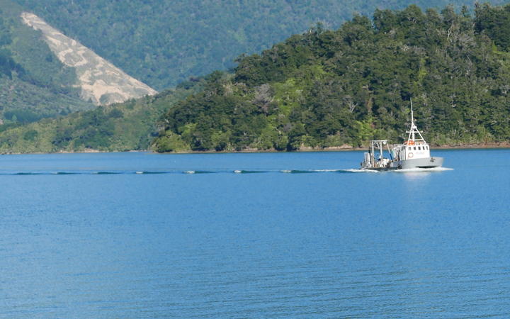 'Pelorus', a vessel owned by Nelson's Diving Services, provides transport for the NIwa scientists looking to sample sediment.