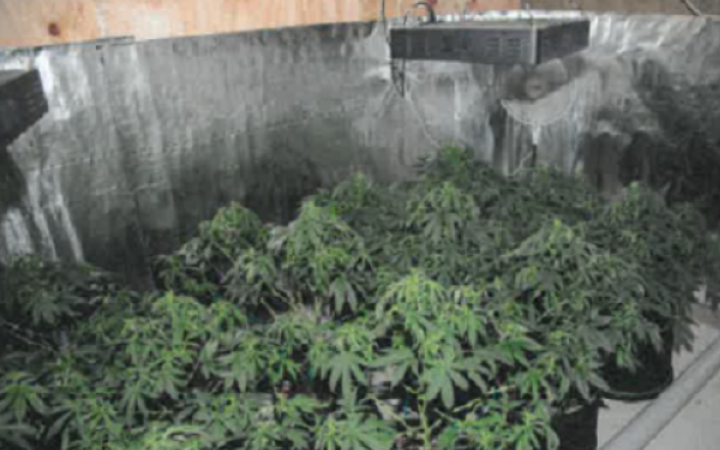 Part of a rural property near Greymouth and $10,000 in cash have been forfeited following a police investigation into a cannabis operation on the West Coast.