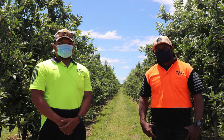 RSE workers So'o Fala (left) from Samoa and Joel Bruno Lee from the Solomon Islands, are celebrating Christmas by the apple orchards of Hawke’s Bay this year.