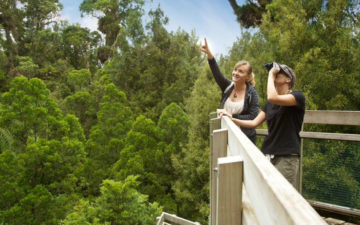 The Hicks Road access for visitors to Maungatautari in the Waipā District has reopened on the first day of 2022.