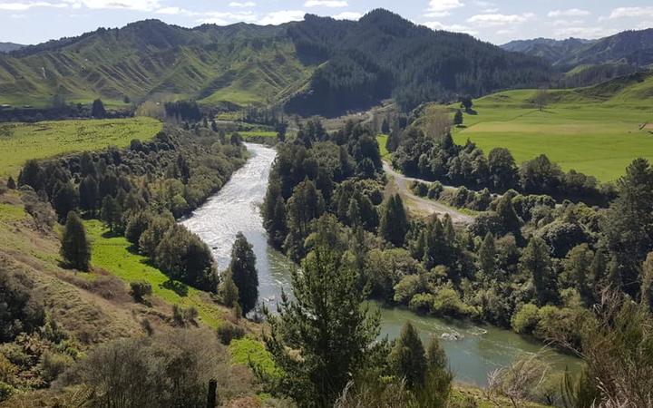 The upper Whanganui River 