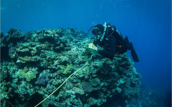 Underwater research at Hunga Tonga-Hunga Ha'apai.