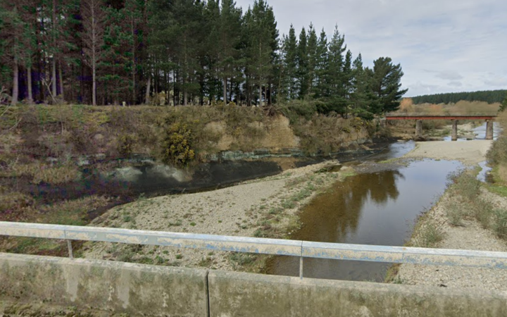 Waianakarua River in Otago.