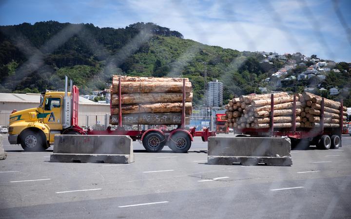 Trucks at Wellington harbour transport NZ wood